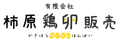 たまごやさんちのたこ焼き